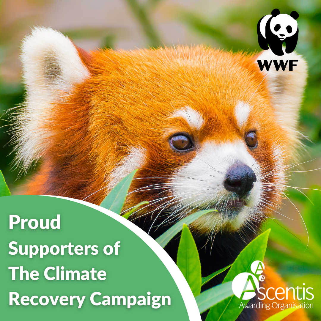 Climate Recovery Campaign